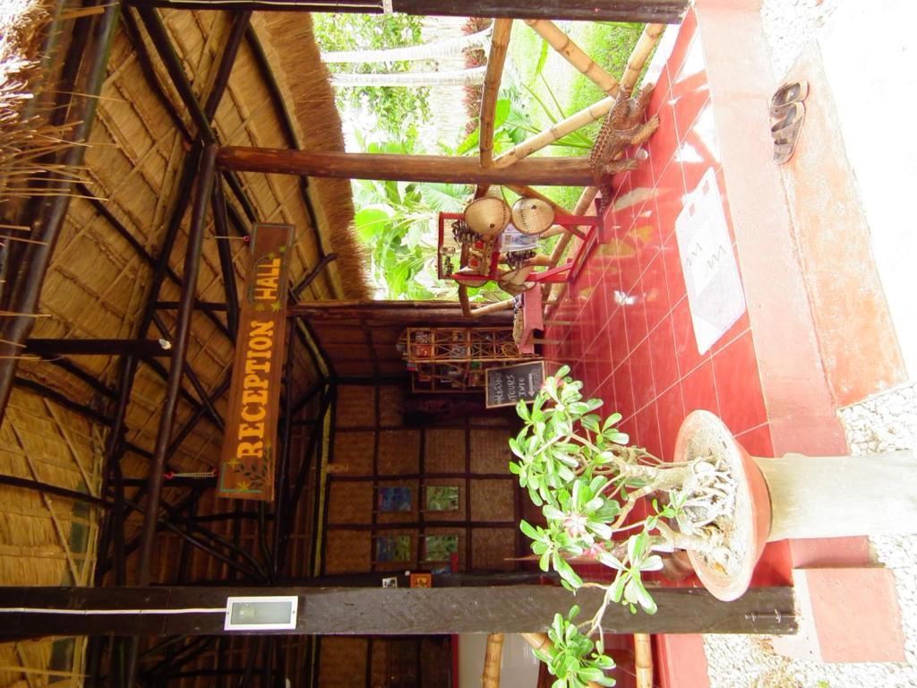 Cooper'S Beach Resort Lucbuan Buitenkant foto